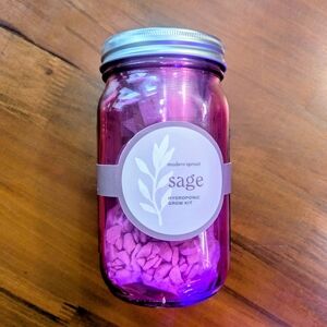 Modern Sprout Hydroponic Grow Kit — Sage 🪴